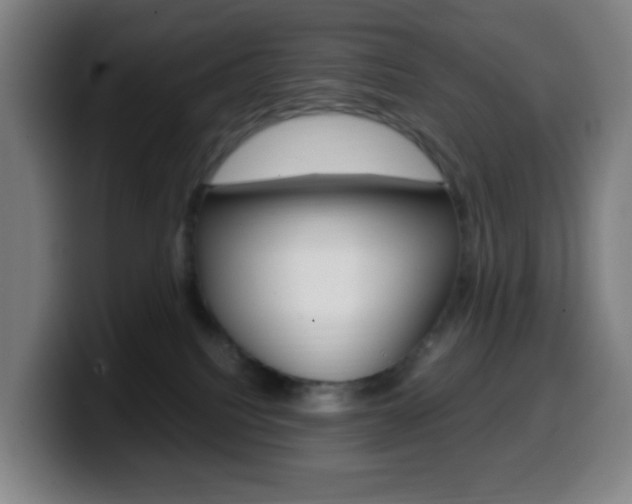 X0000099510088200805151020