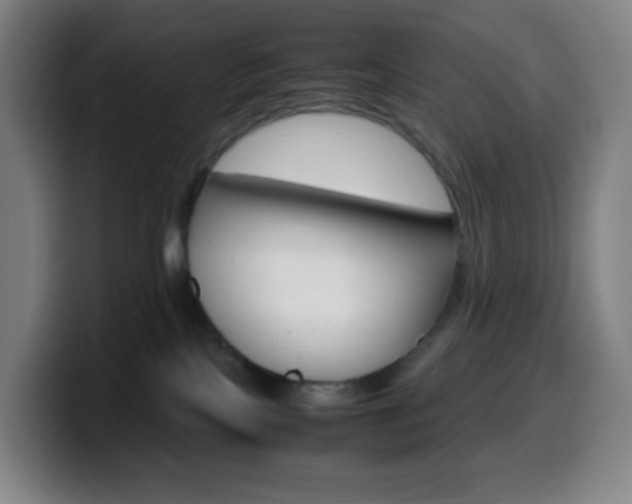 X0000099510089200805151020