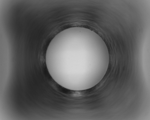 X0000099510091200805151020