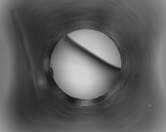 X0000099510093200805151020