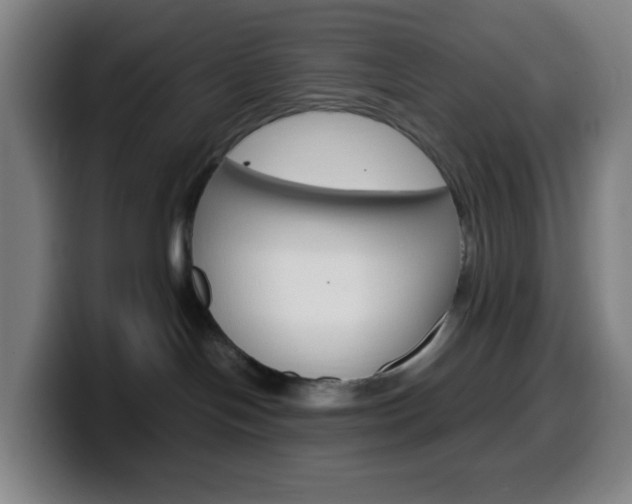 X0000099510094200805151020