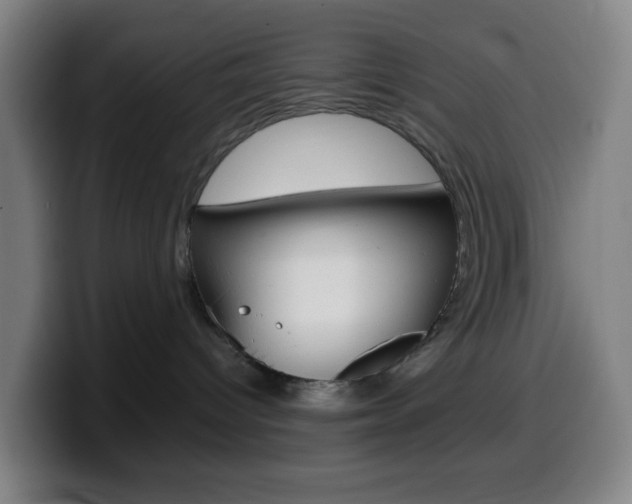 X0000099510096200805151020