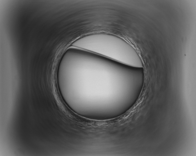 X0000099510097200805151019