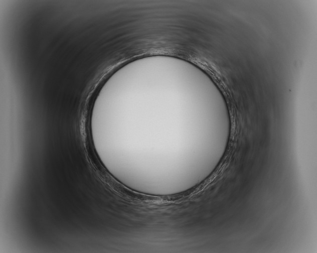 X0000099510098200805151019