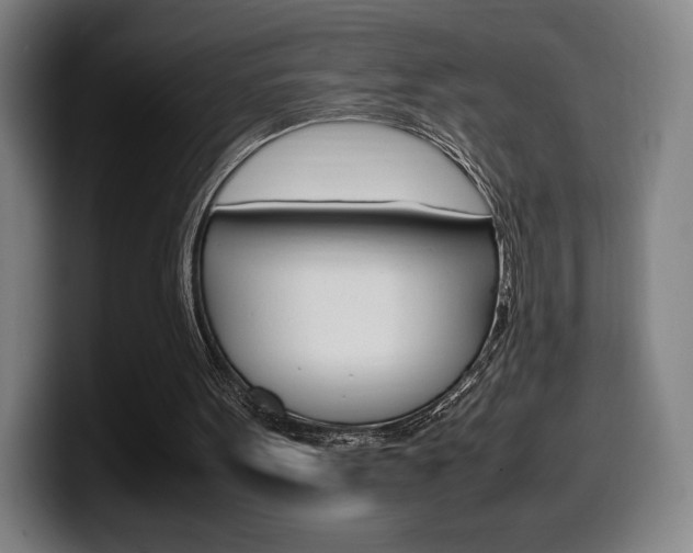 X0000099510099200805151019