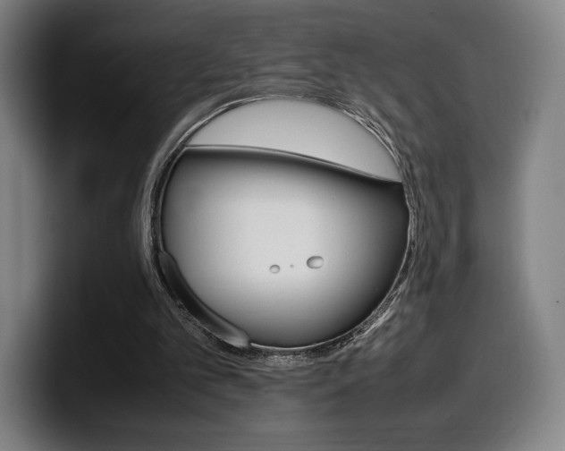 X0000099510101200805151019