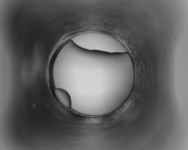 X0000099510102200805151019