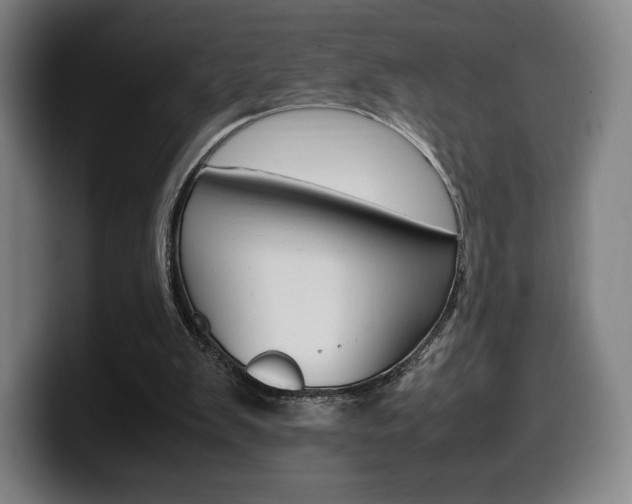 X0000099510103200805151019