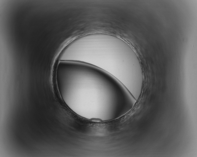 X0000099510104200805151019