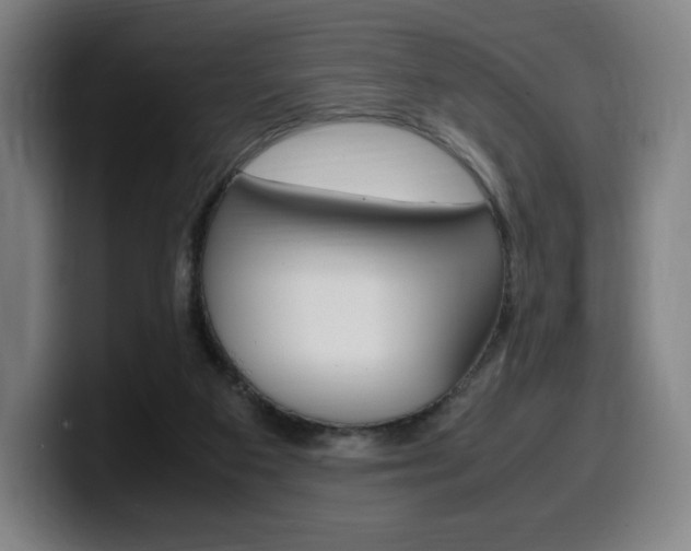 X0000099510113200805151019