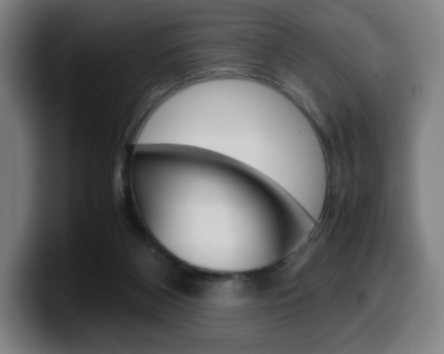 X0000099510116200805151019