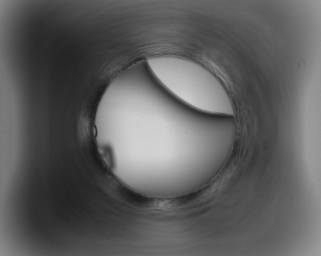 X0000099510117200805151019