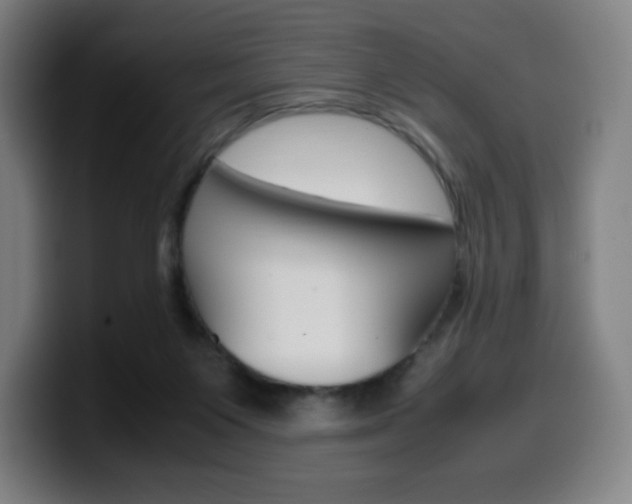 X0000099510119200805151019