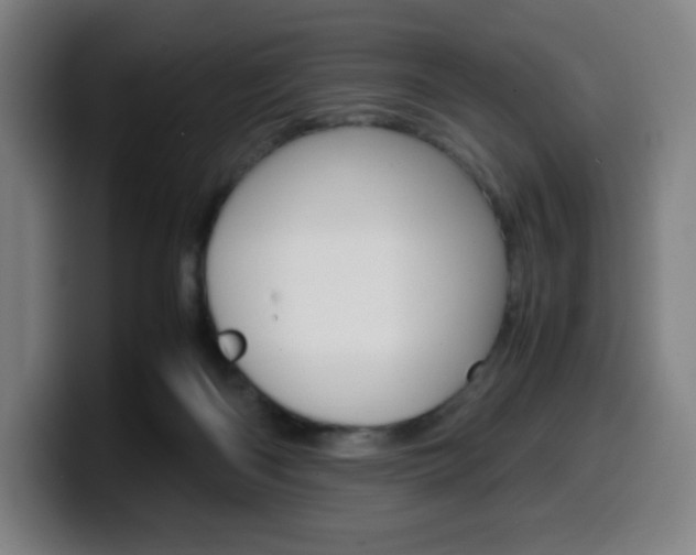 X0000099510122200805151019