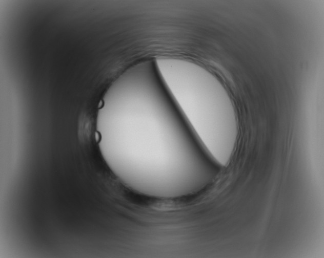 X0000099510123200805151019