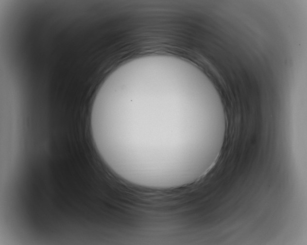 X0000099510124200805151019