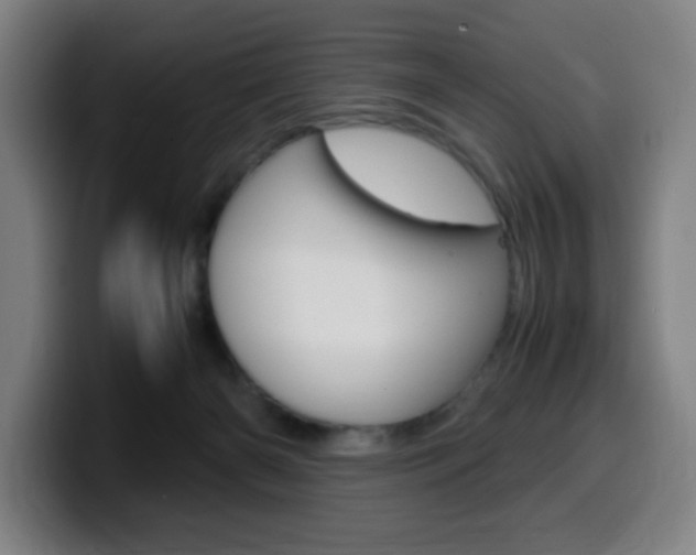 X0000099510126200805151019