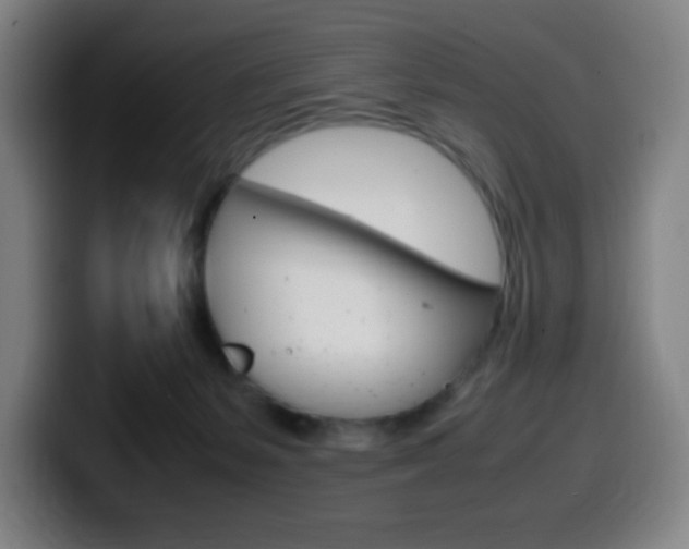X0000099510127200805151019