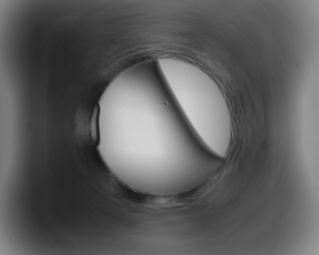 X0000099510129200805151019