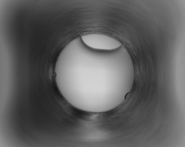 X0000099510130200805151019