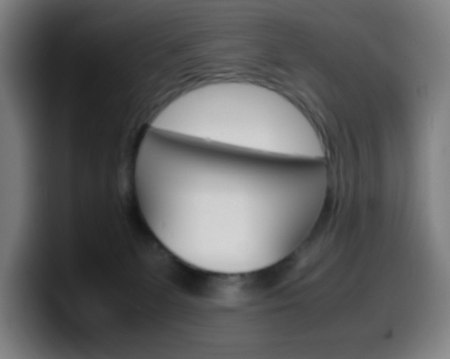 X0000099510131200805151019
