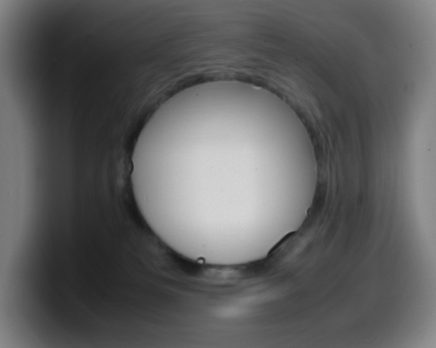 X0000099510133200805151019
