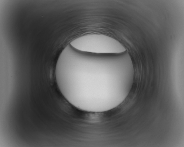 X0000099510134200805151019