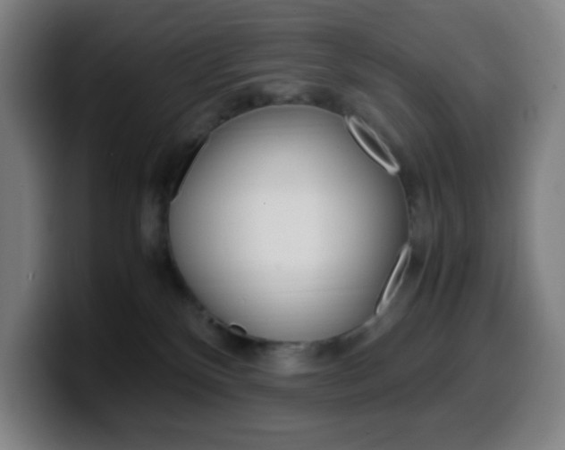 X0000099510136200805151019