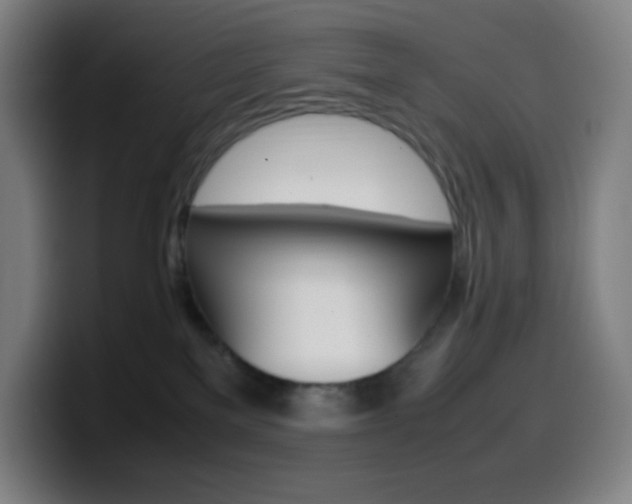 X0000099510137200805151019