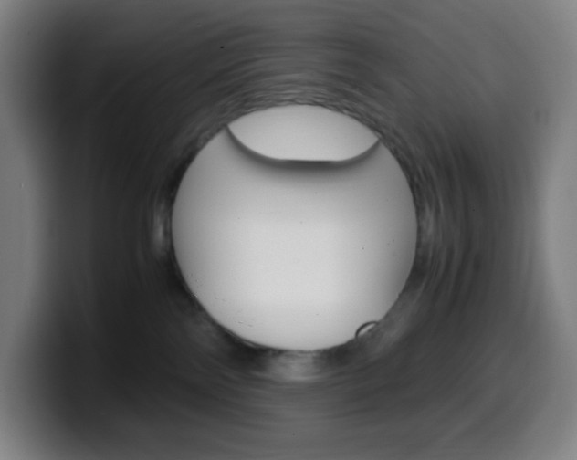 X0000099510138200805151019