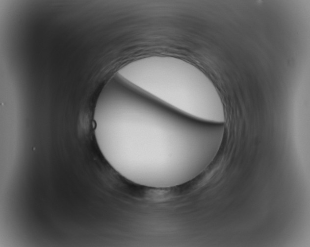 X0000099510139200805151019