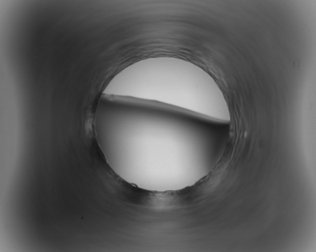 X0000099510141200805151019