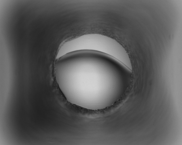 X0000099510144200805151019