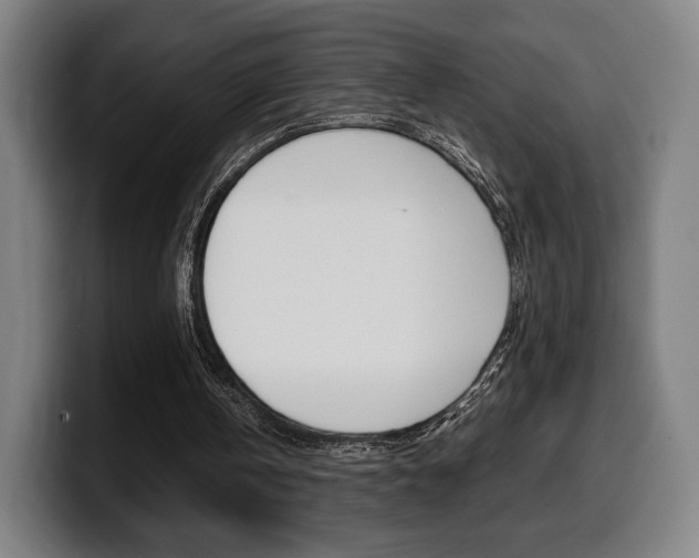 X0000099510146200805151018
