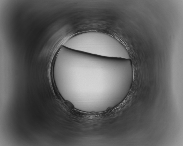 X0000099510147200805151018