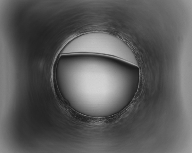 X0000099510148200805151018