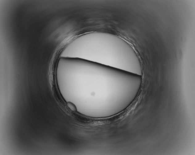 X0000099510149200805151018
