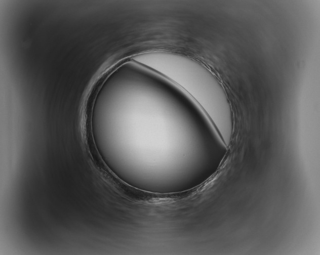 X0000099510150200805151018
