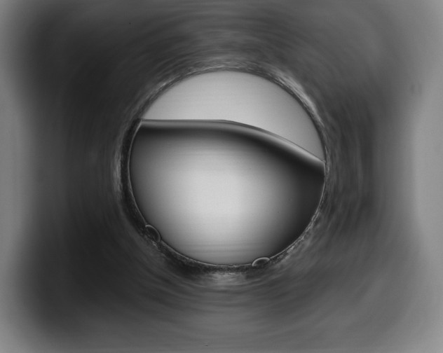 X0000099510154200805151018