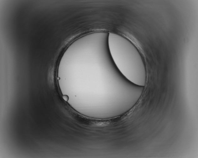 X0000099510155200805151018