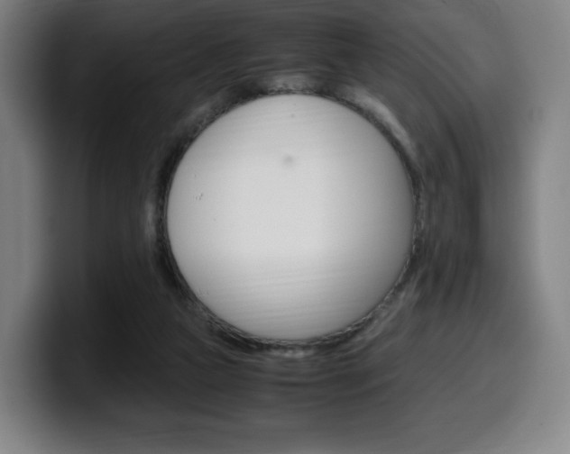 X0000099510161200805151018