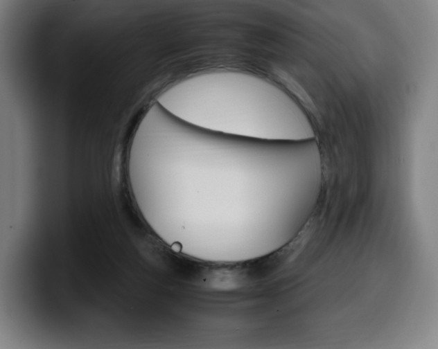 X0000099510163200805151018