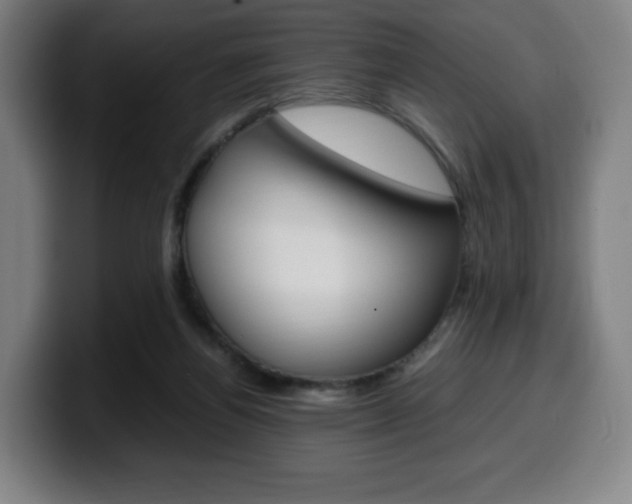 X0000099510164200805151018