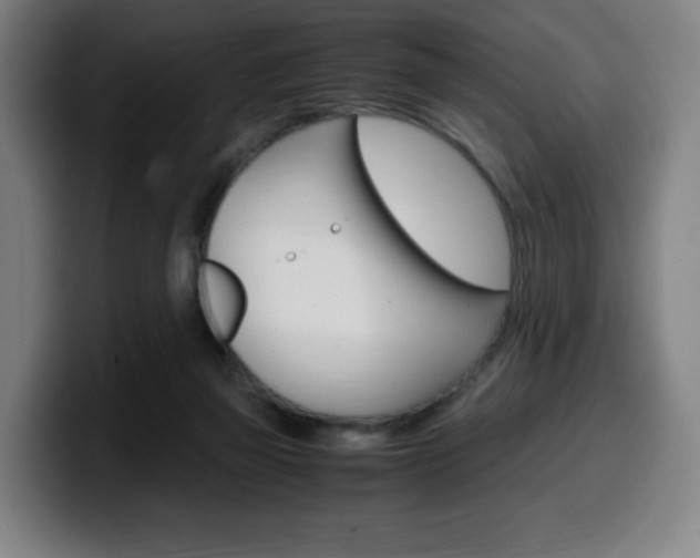 X0000099510165200805151018