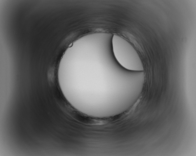 X0000099510167200805151018