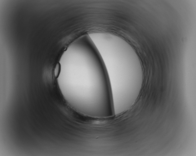 X0000099510168200805151018