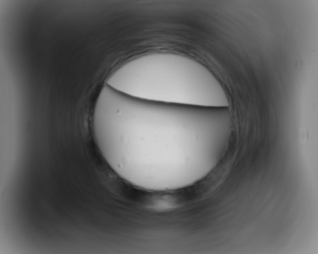 X0000099510169200805151018