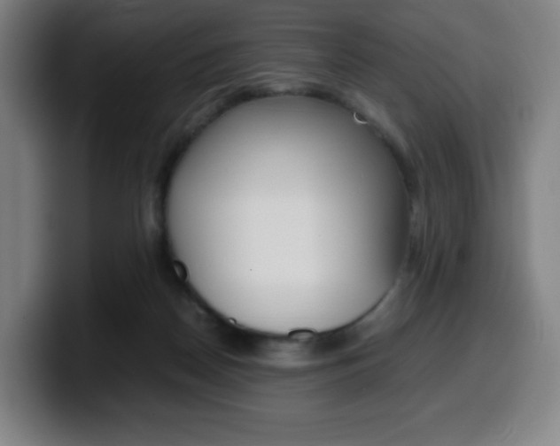 X0000099510170200805151018
