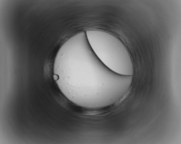 X0000099510171200805151018