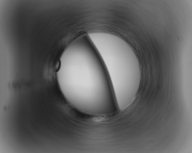 X0000099510172200805151018